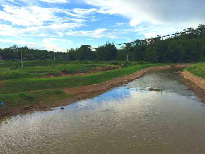 1583389652890258.jpg 04山东德州现场.jpg