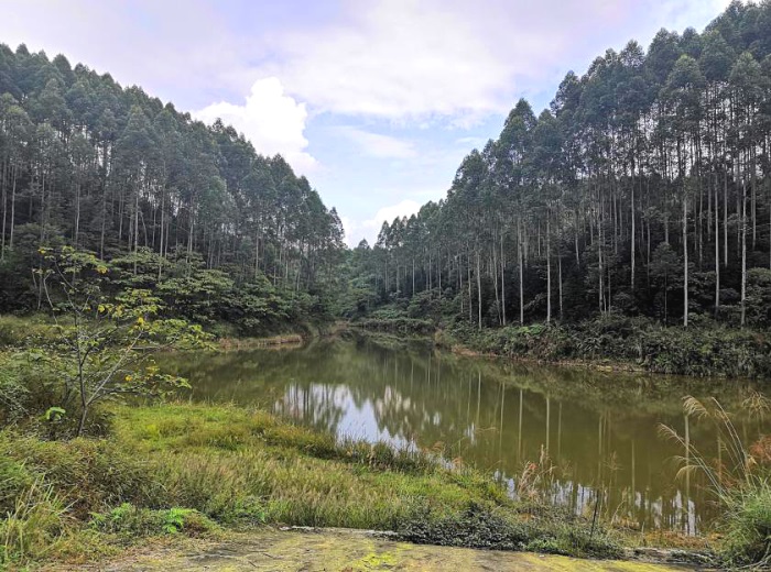 1584426027240979.jpg 大观立仑33.jpg