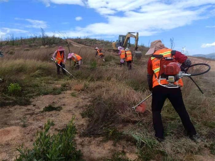 1608090480929985.jpg 1.jpg