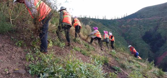 1608090498256819.jpg 3.jpg